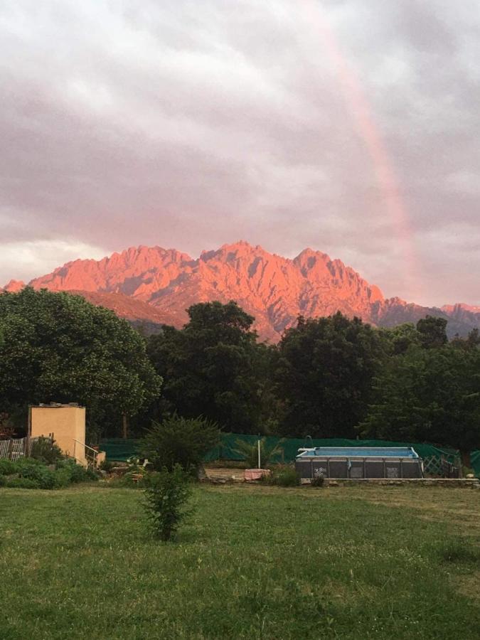 La Caravane Le Nid Douillet Ponte-Leccia Εξωτερικό φωτογραφία